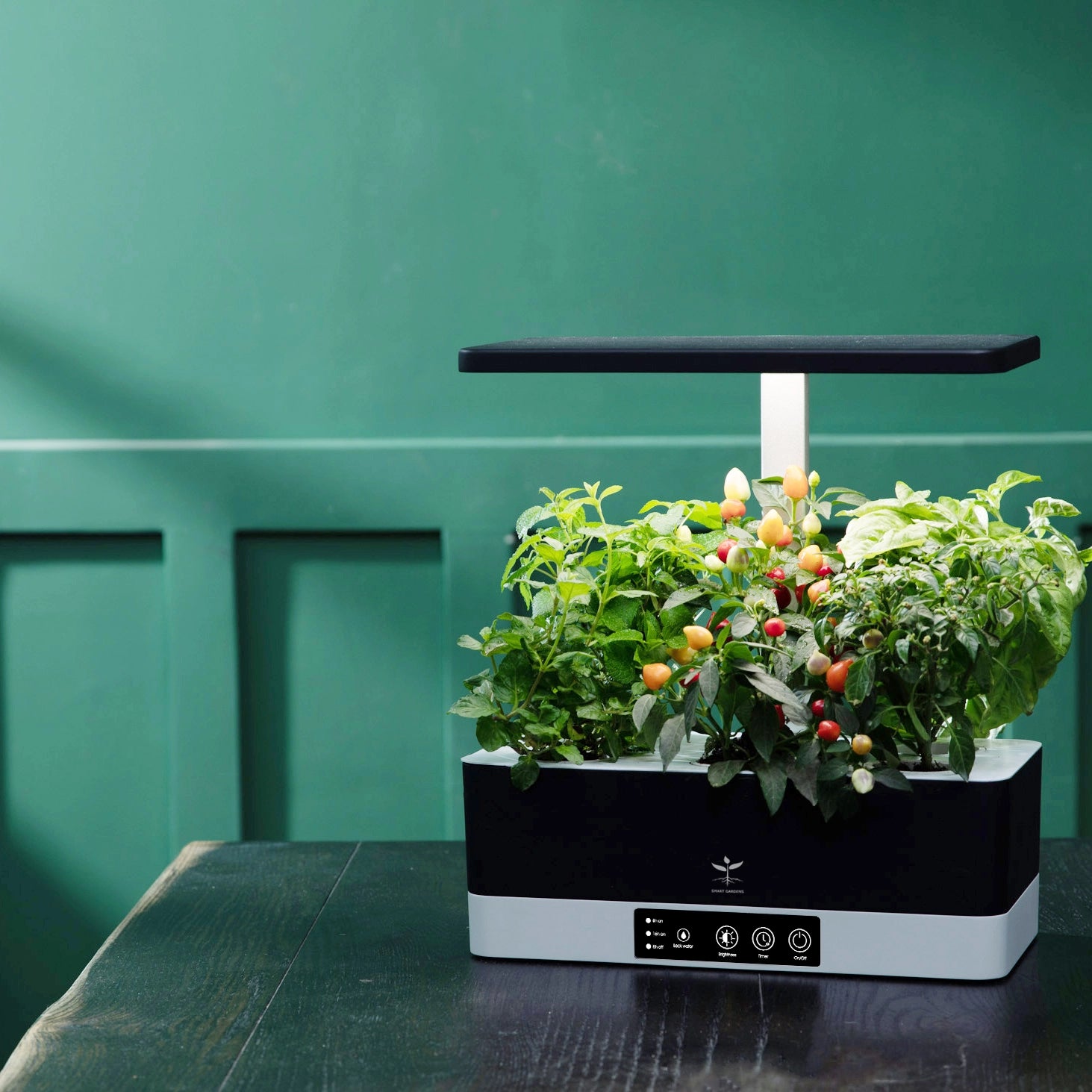Aquagrow Smart Garden - A modern indoor gardening system with integrated technology for optimal plant growth and care.