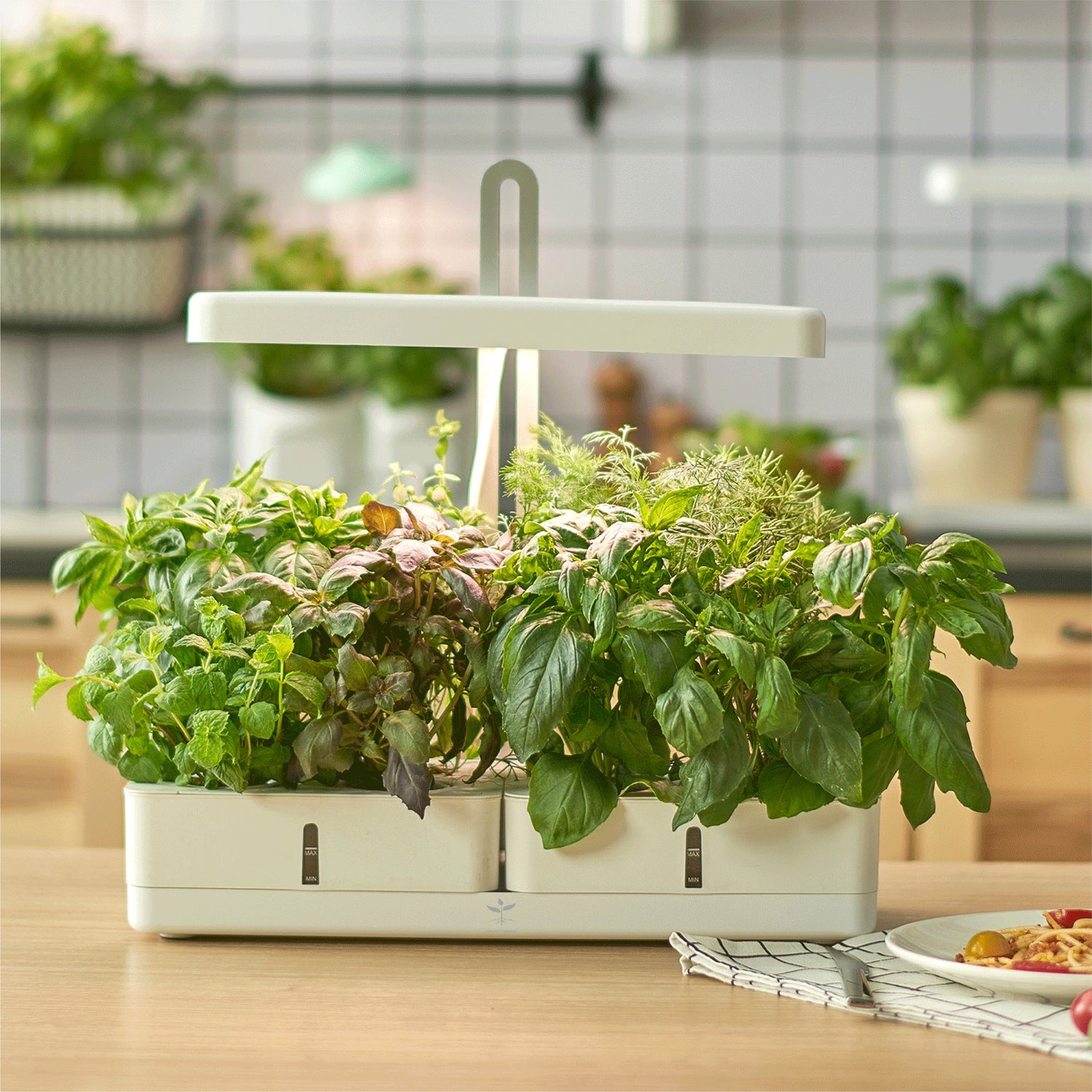 EasyHarvest Smart Garden - A modern indoor gardening system with integrated technology for optimal plant growth and care.
