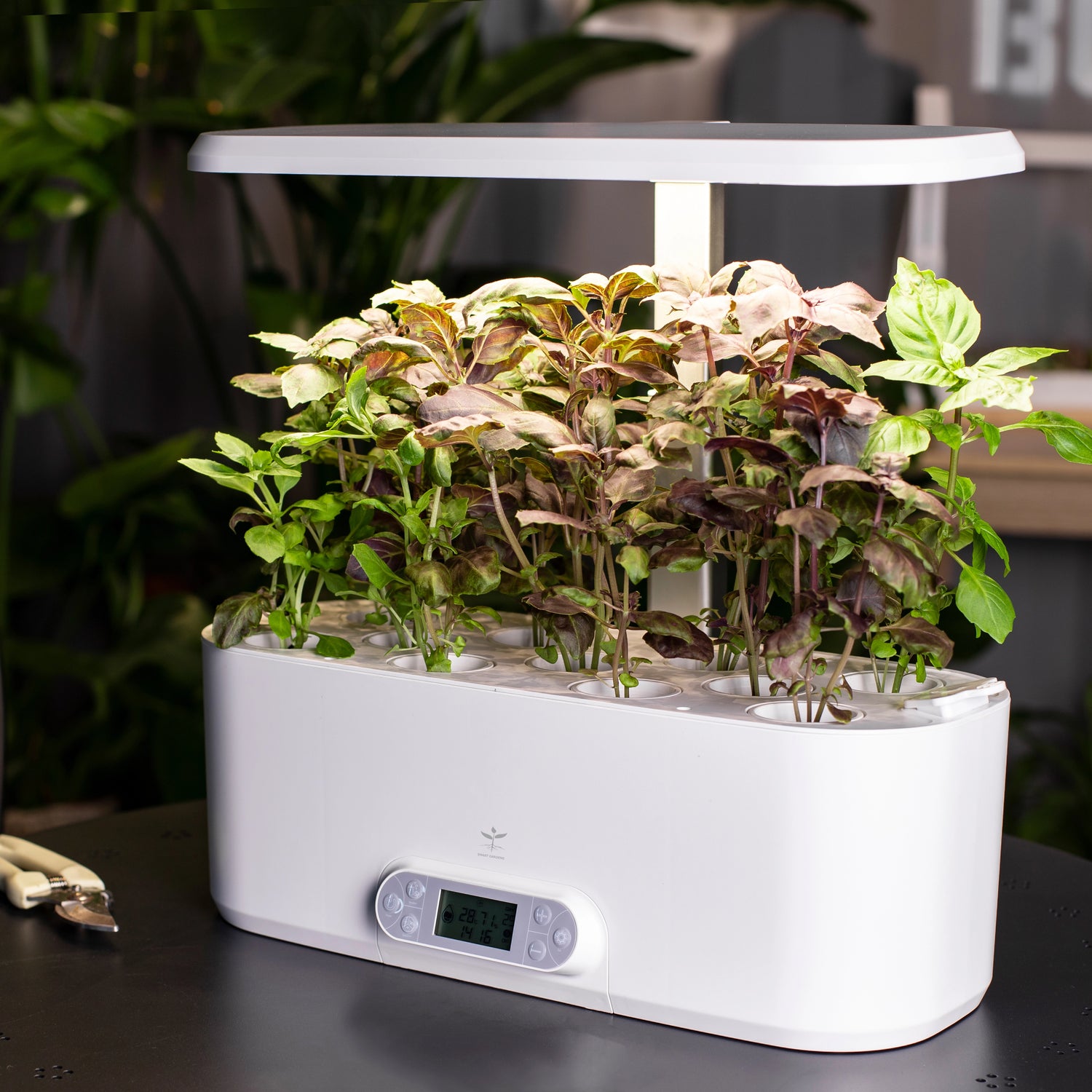 GreenGenius Smart Garden - A modern indoor gardening system with integrated technology for optimal plant growth and care.