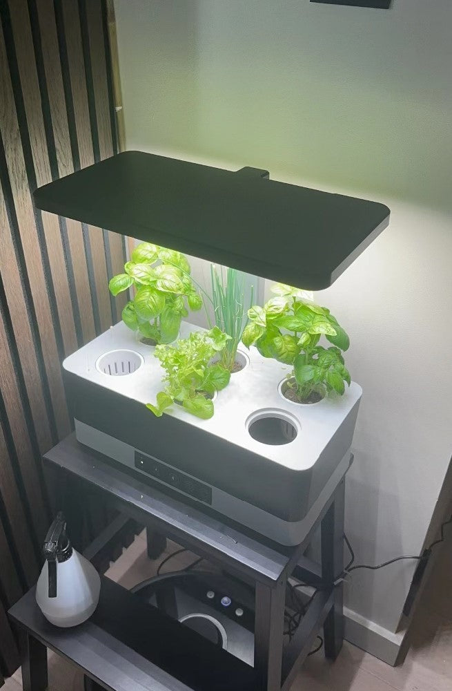 The Benefits Of Hydroponic Gardening