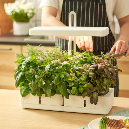 EasyHarvest Smart Indoor Hydroponic Garden - Innovative Growing Solution for Home Gardening