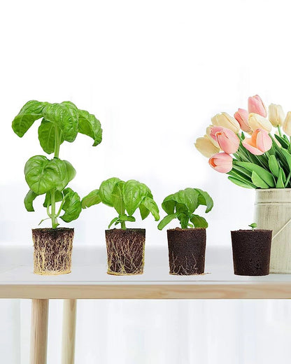 Smart Soil Pods - Nutrient-Rich Solution for Optimal Plant Growth in Smart Indoor Gardens