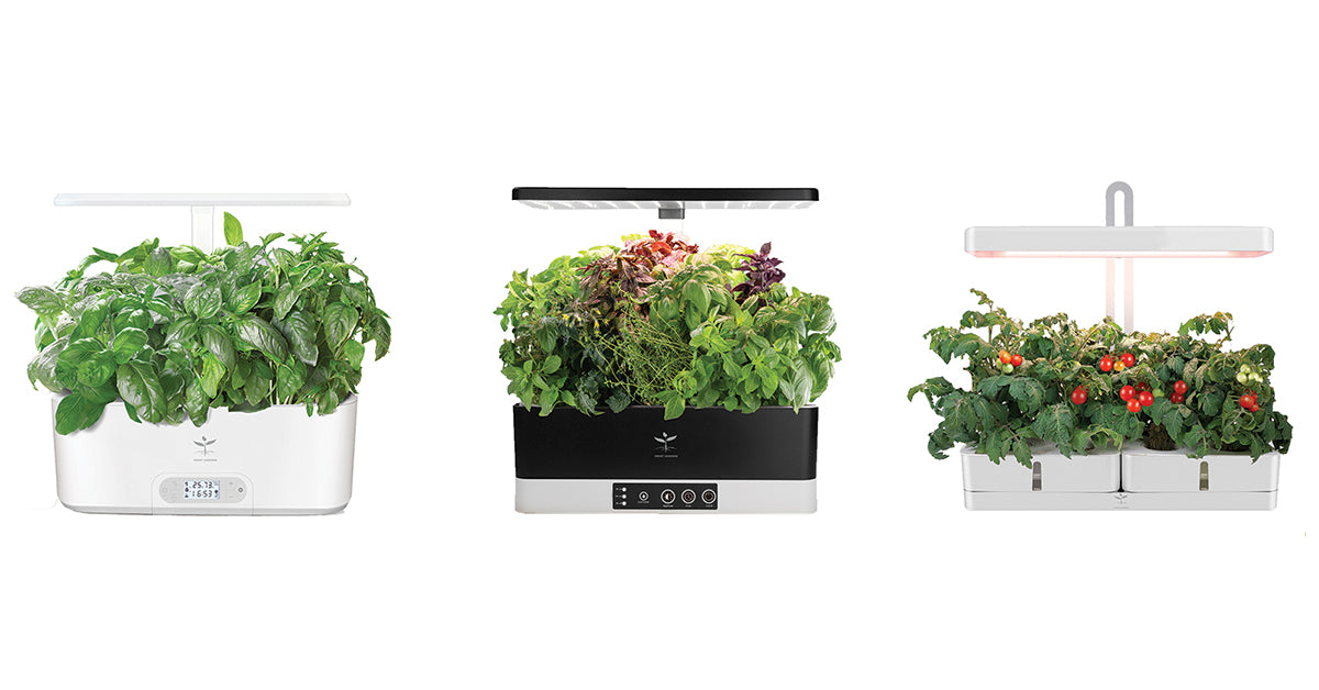 Smart Indoor Hydroponic Gardens Grow Fresh Organic Produce at Home