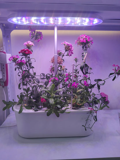 EcoBloom Smart Garden Kit