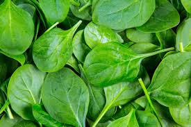 Spinach Seeds
